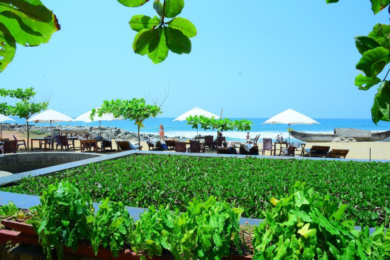 Hotel Palm Tree Anex Varkala Exteriér fotografie